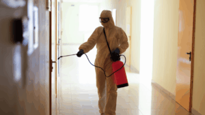 Dedetização em Escritórios e Coworkings no Centro e Av. Paulista Preparando o Back to Office